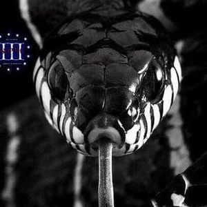 Meet your Posher, Darin